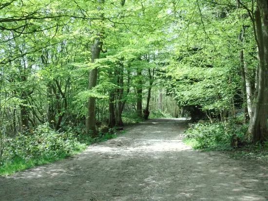 Trosley Country Park