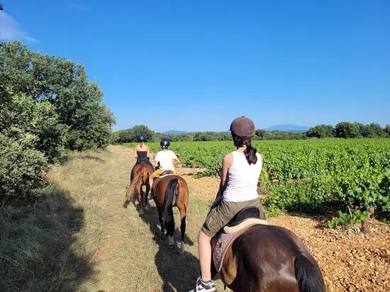 Centre Equestre de Grignan