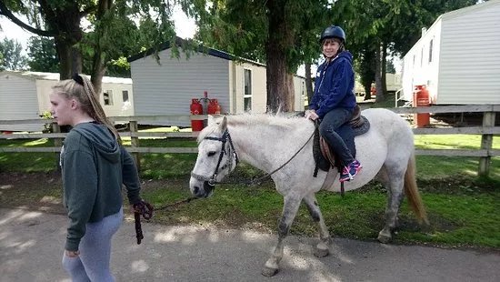Haggerston Riding Centre