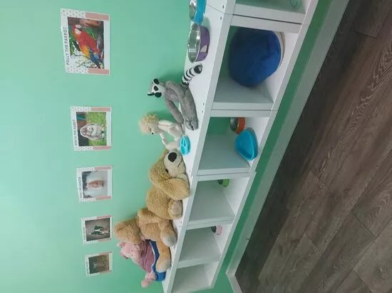 Sea Life Play Centre