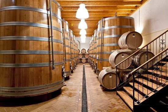 Monte Zovo Azienda Agricola