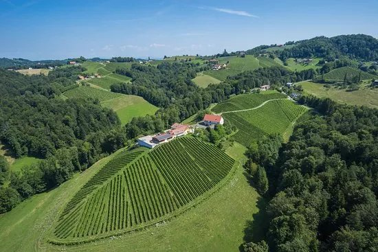 Weingut Masser