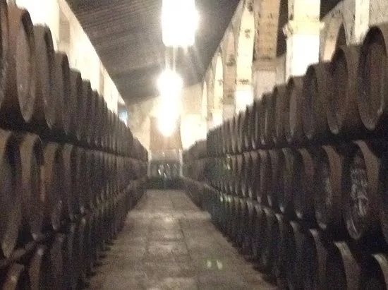 Bodegas Gutierrez Colosia