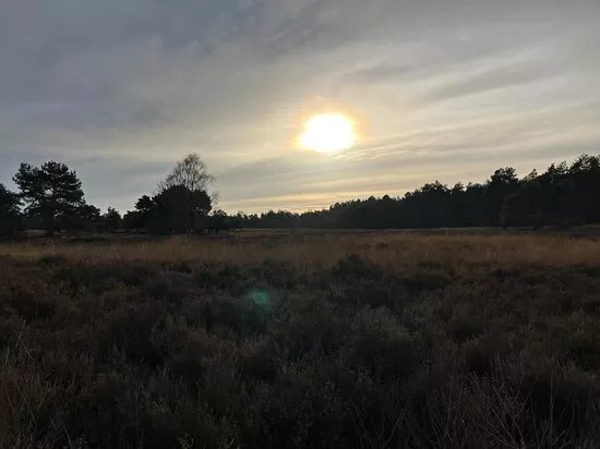 Itterbecker Heide