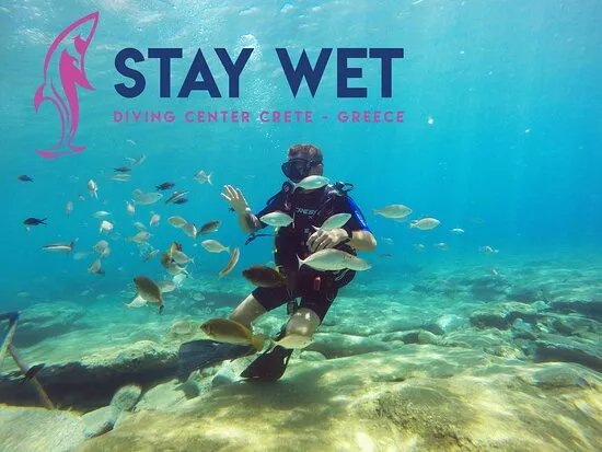 Stay Wet Diving Center