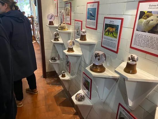 National Poo Museum