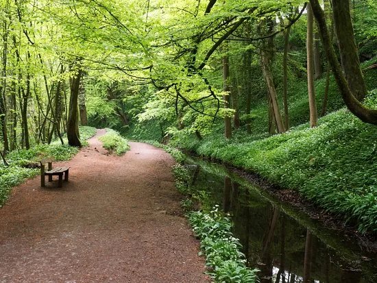 Skipton Castle Woods