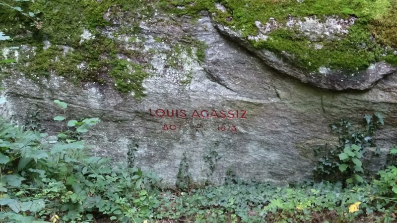 Pierre <Louis Agassiz> - le Palet Roulant