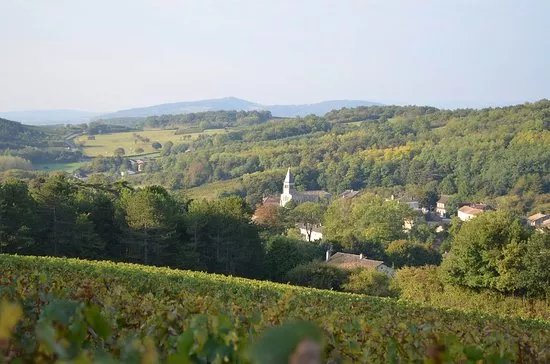 Domaine Debreuille