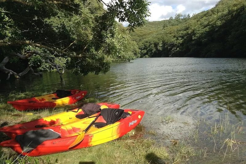 Tranquil, cosy waterside cottage direct river views, local pub, shop, walks.