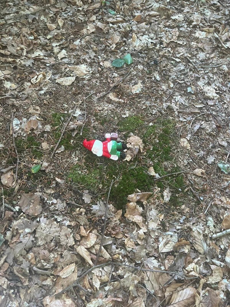 Kabouterbos