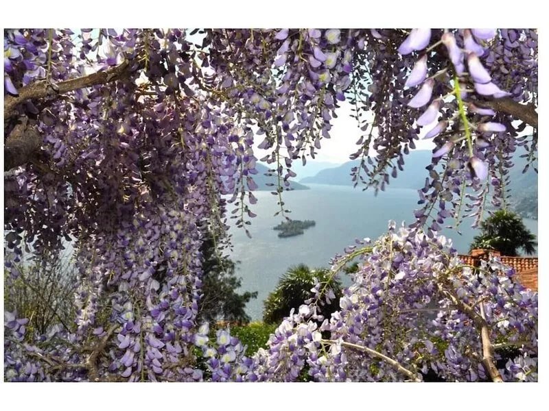 Villa on a hill with magnificent views of Lake Maggiore