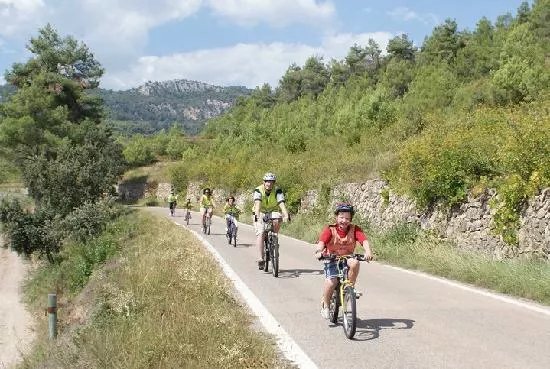 Salou Downhill Bikes