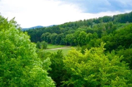 Naturpark Sparbach