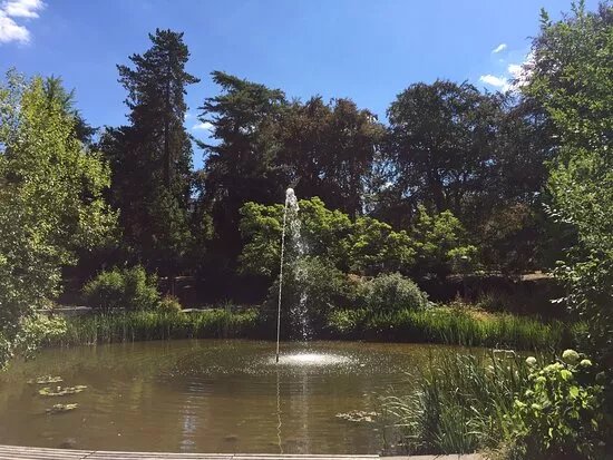 Stadtpark Sonneberg