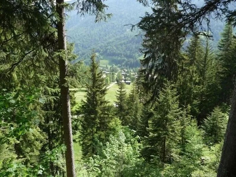 Comfortable chalet in an idyllic area. Fenced garden. Dogs accepted.