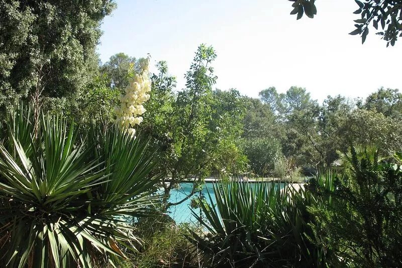 Contemporary villa in a large Mediterranean-type landscape garden