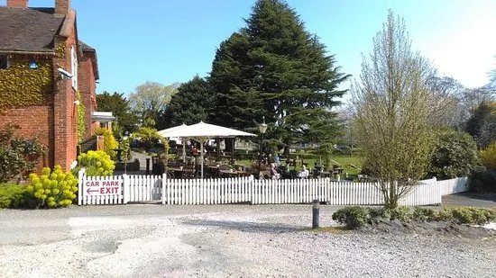 The Hedgehog Lichfield