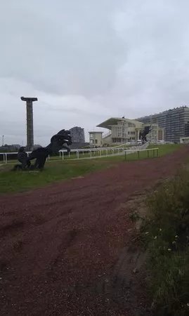 Wellington Racetrack (Wellington Renbaan)