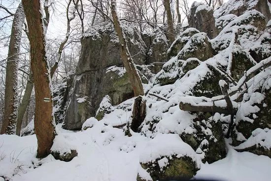 Bielany-Tyniec Landscape Park