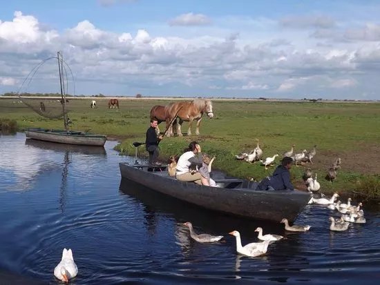 Jean Sebastien Crusson
