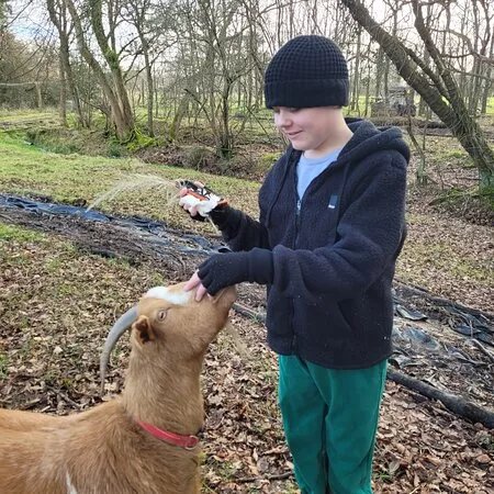 Smiles Sensory And Family Farm Limited