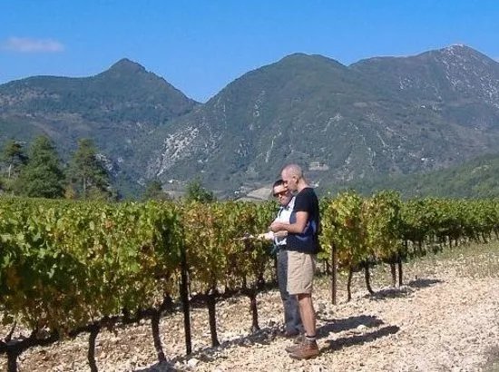 Rhone Wine Tours