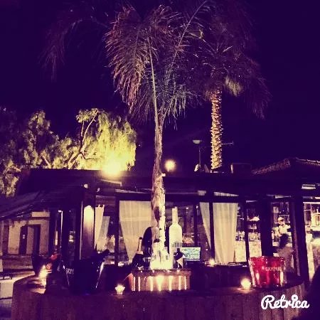 Butterfly Cafe