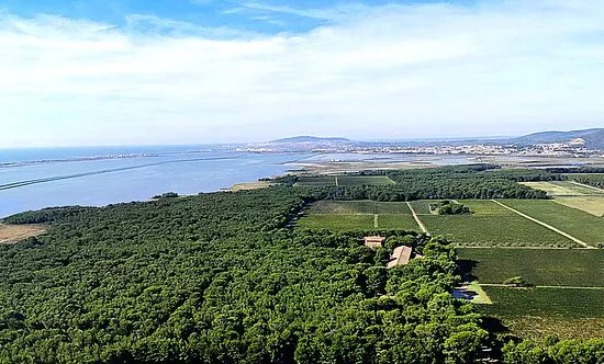 Domaine Du Mas Rouge