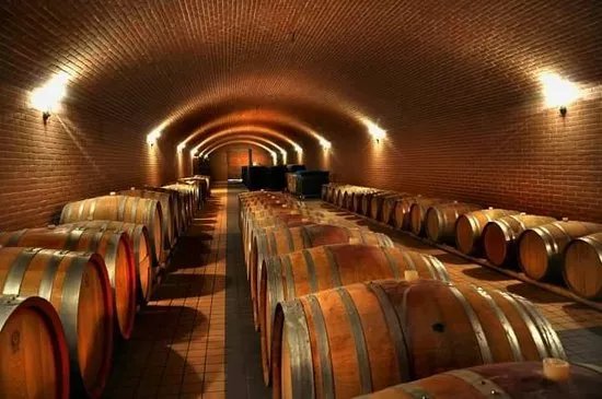 The Wine Company Portugal