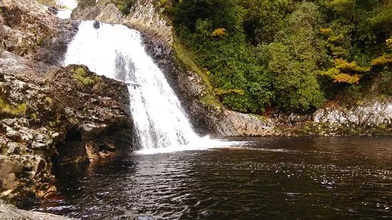 Coed y Brenin Forest Park
