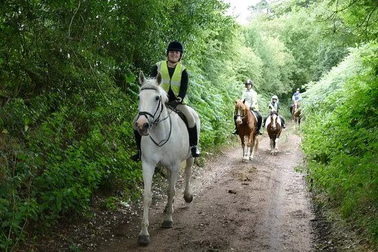 Willington Hall Riding Centre