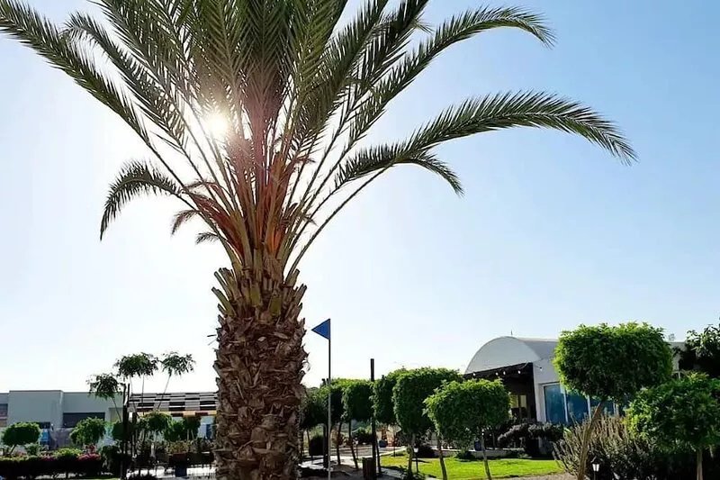 20% OFF : Stunning Penthouse Apt on Private Beach; Fully Kitted Gym & Sauna