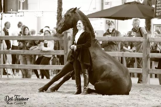 Domaine Equestre Del Tessuor