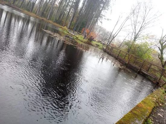 Pinewood Trout Fishery
