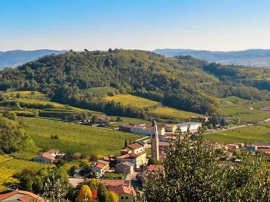 Azienda Agricola Cavazza