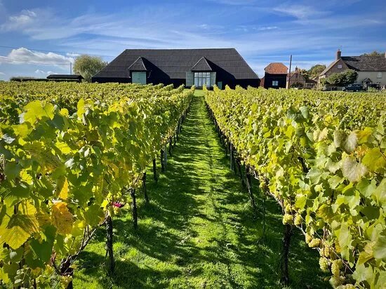 Winding Wood Vineyard