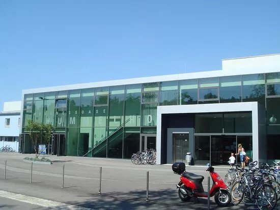 Institute Wohlgemuth - Massage & Holopthie in Linz