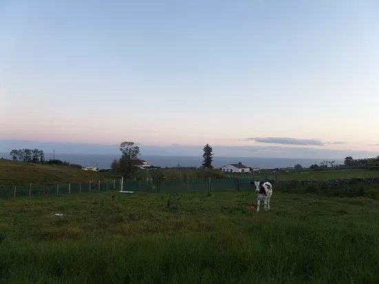 Quinta do Agricultor