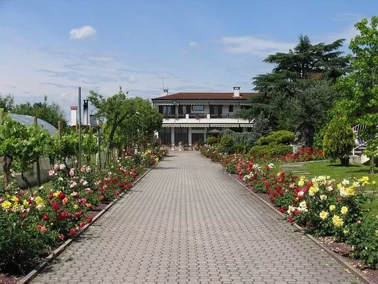 Palatini Terme di Salzano