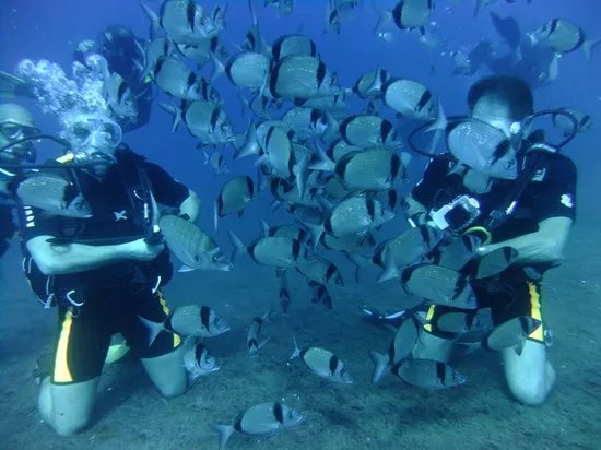 Scuba Den