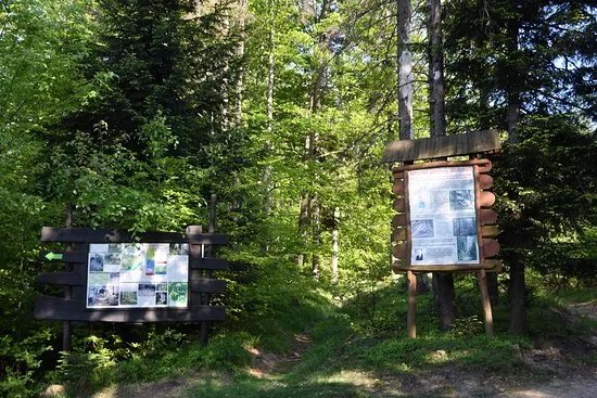 Rezerwat przyrody Madohora