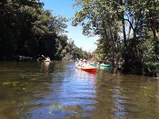 Nadolny Kayak Rental & Tours