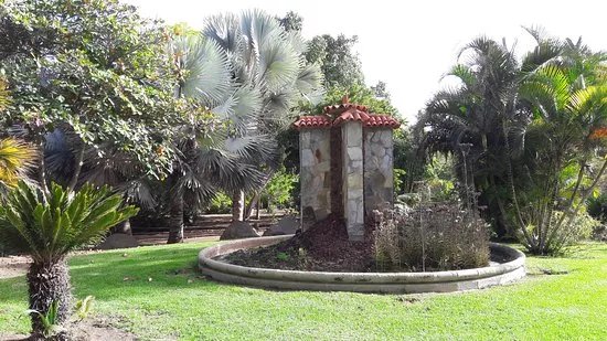 Botanical Park of Maspalomas (El Parque Botanico de Maspalomas)