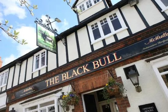 Black Bull