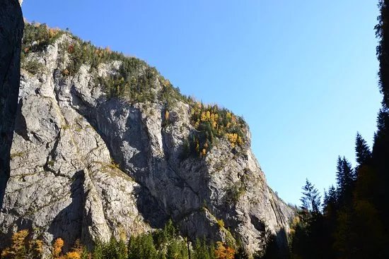 Gheorgheni