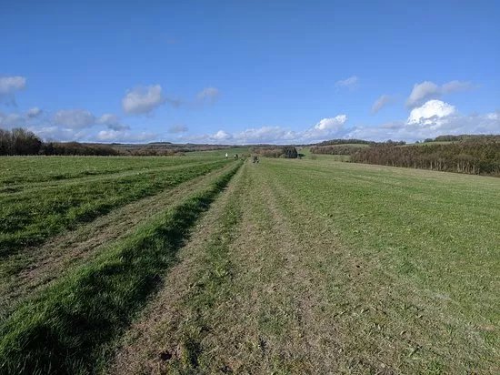 Slindon Estate