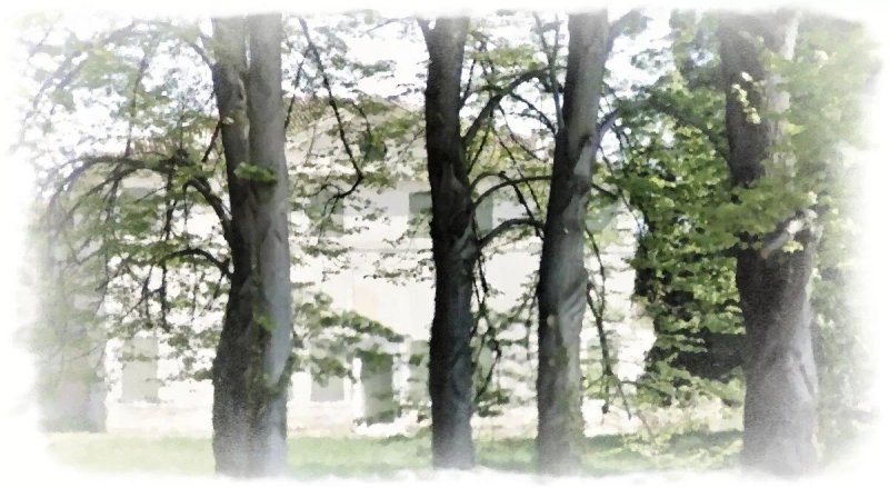 Villa Zeno di Donegal di Cessalto - World Heritage Site