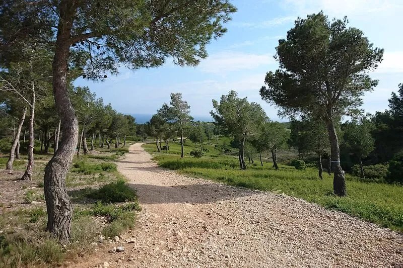 T2 detached - Quiet - Beach less than 10 min. walk