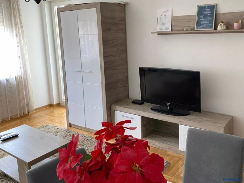 Apartments CENTER Vrnjacka Banja & Free Parking